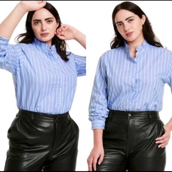 New Striped Long Sleeve Button-Down Shirt - Nili Lotan x Target Blue S4. - Picture 4 of 15